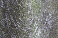 Fordham Heath fibreglass roof work